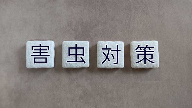 シロアリ防除工事